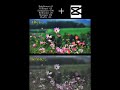 4k high quality flowers video editing #4kstatus #flowers #viralvideo #chanshifarish #videoediting