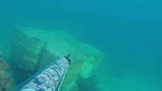 PESCA SUB: PRIMA PROVA SALVIMAR PREDATHOR VUOTO 100+RIDUTTORE