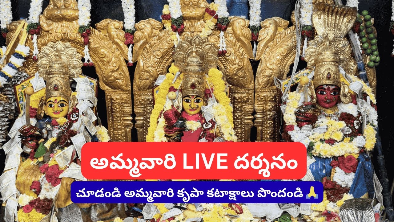 LIVE Goddess Darshan 🙏  Full Idol View of Venkamma Thalli  Ramavarappadu Vijayawada # VenkammaThalli
