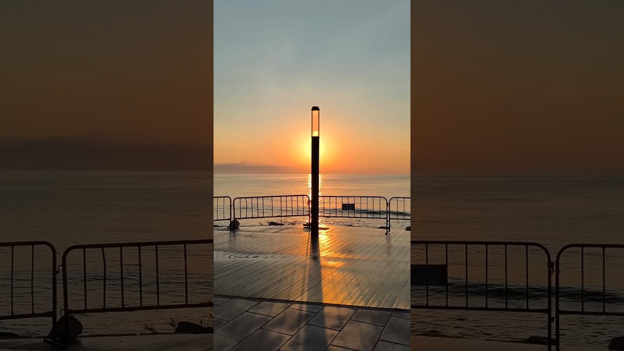 🌅🌆🌴🌊 Good morning / Buenos días. Nuevo terraplén / New embankment. Av. de la Purisima. Torrevieja 🇪🇸