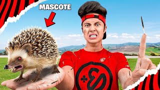 Adotei Um Porco Espinho E Não Foi Uma Boa Ideia