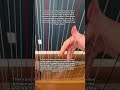 Scale in slow motion