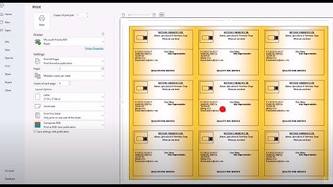 Ms Publisher Practical Exam Episode 1 | Designing Business Card