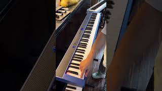 A Special Blue Electronic Piano