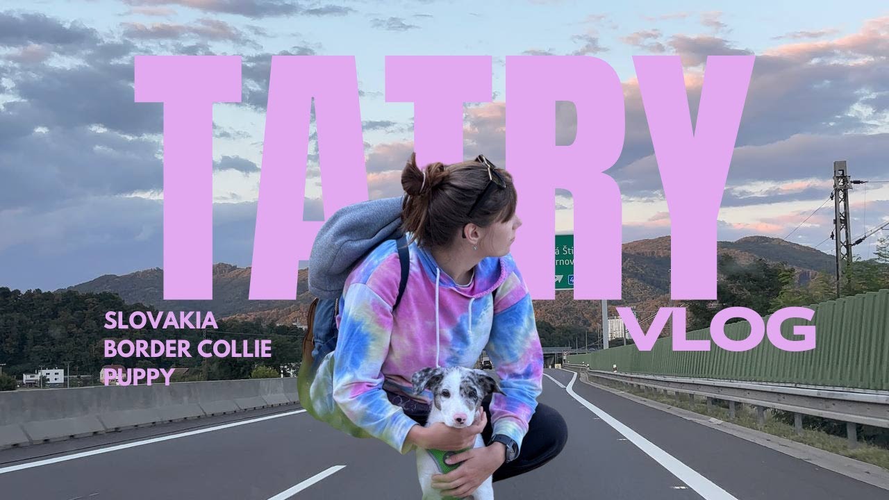 Se psem na Slovensko? Ano, zvládnete to i se štěňátkem! 🐶🇸🇰