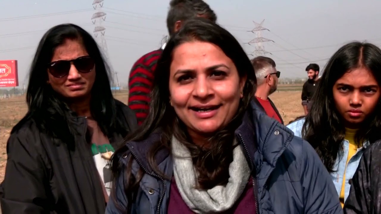 "Tourists Flock to Pampore’s Saffron Fields for a Colorful and Fragrant Harvest Experience"