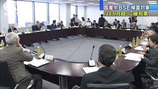 国産牛BSE検査対象を月齢「48カ月超」緩和案（13/04/03）
