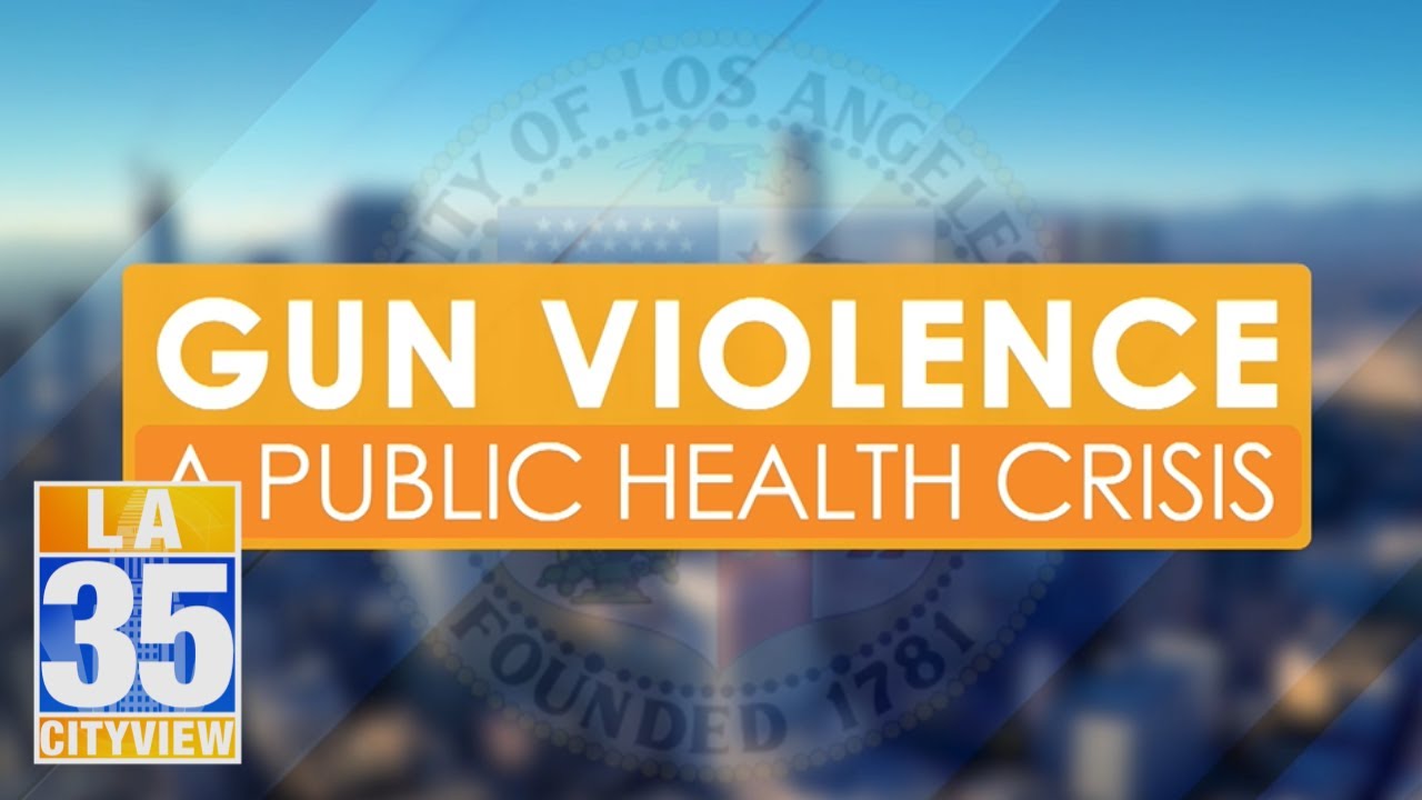 Gun Violence: A Public Health Crisis Pt. 2