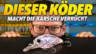 Bester Suchköder Zum Barschangeln