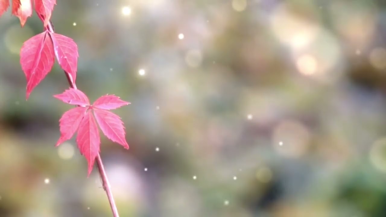 Happiness isn’t always a big event.  Sometimes it’s a tiny moment…