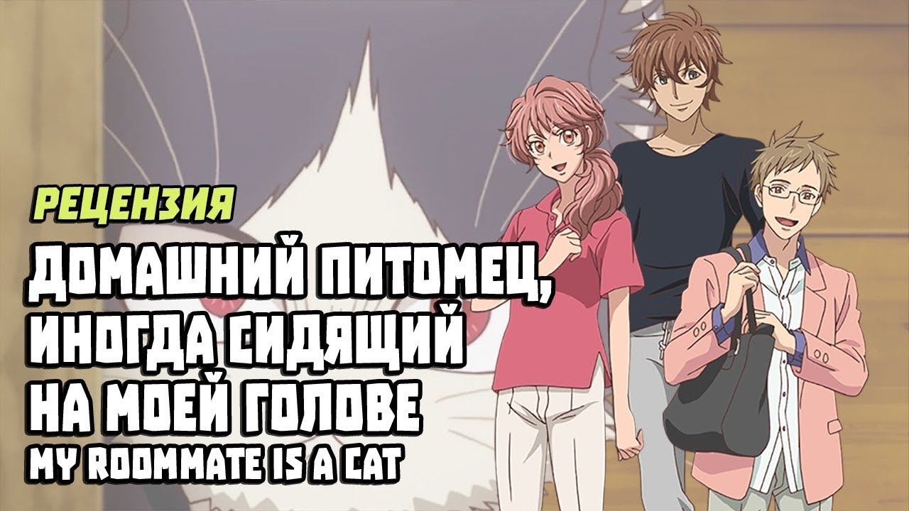 [Рецензия] Домашний питомец, иногда сидящий на моей голове - YouTube