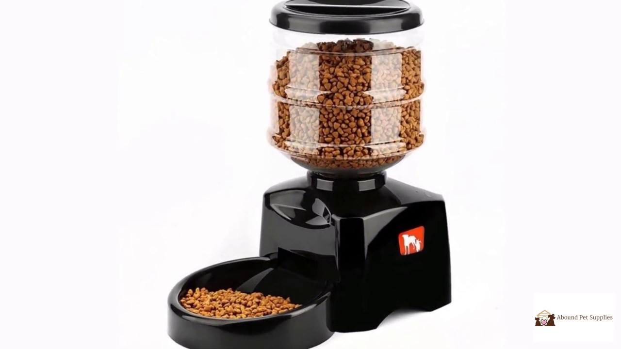 Automatic Cat & Dog Feeder with Voice Message Recording Best Pet