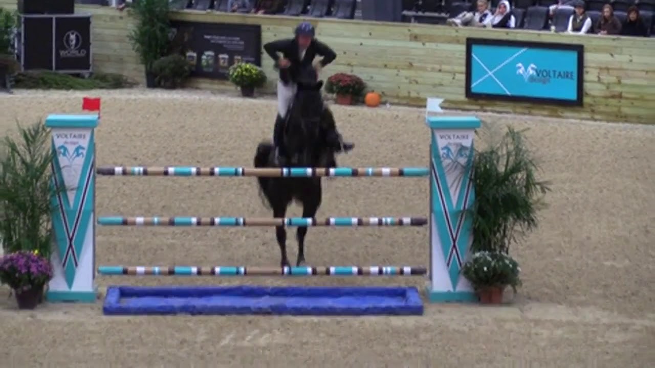 Video of ESSINCE W ridden by DAVID Q. BEISEL from ShowNet!