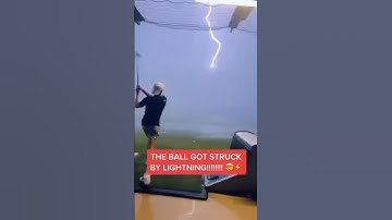 Lightning Strikes the Tree — Nature’s Raw Power Unleashed! part -8 #lightningstrikes #newyork