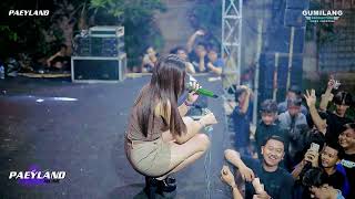 Download Lagu LAGU SEXY BUNGA PERMATA - PAEYLAND MUSIC - HAPPY PARTY BOS PK TEAM - PULOREJO WINONG PATI MP3