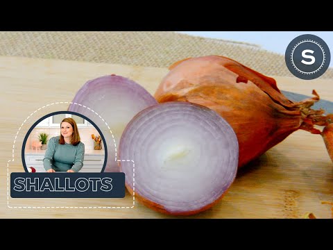 Video: Zijn sjalotten hetzelfde als uien?
