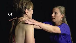 Neck Examination: Cervical Spine Screen