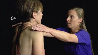 Neck Examination: Cervical Spine Screen Neck Examination: Cervical Spine Screen