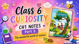 Notes of Ch1 | Part 3 | The wonderful world of science | Curiosity Class 6 @vidyaro