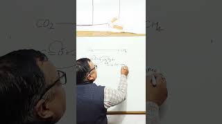 conversion of carbon dioxide into methane