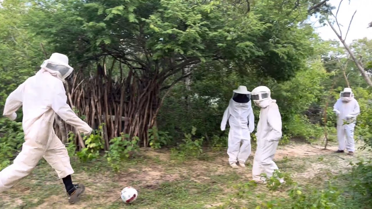 JOGANDO FUTEBOL NO APIÁRIO COM MUITAS ABELHAS - deu ruim