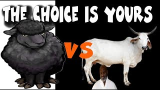r³ to Black Sheep - The Choice Is Yours (reaction) | reacting to reactors reacting