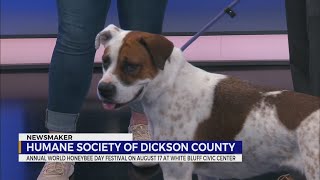 Newsmaker: Humane Society of Dickson County