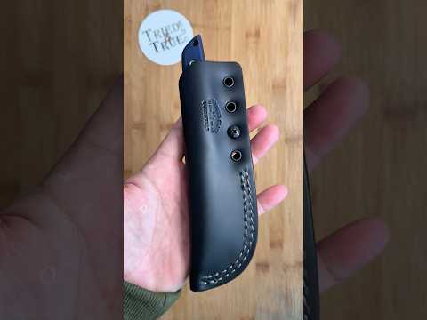 Everyone Needs a Guardian   