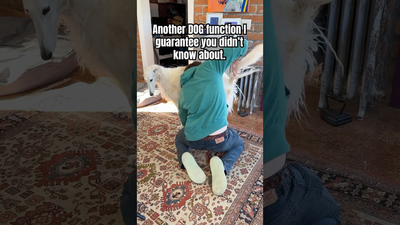 This is very useful in case of an emergency