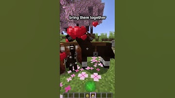 The Secret To Minecraft Horse Breeding!