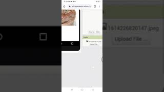 Hello Purr tutorial