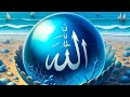 روحانيات صوفية محمدية الشيخ محمد العاشق النقشبندي 