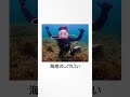 しぐれういのミーム ういミーム3選 