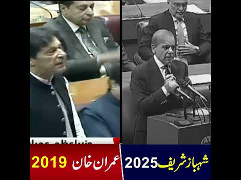 Leadership Styles: Shahbaz