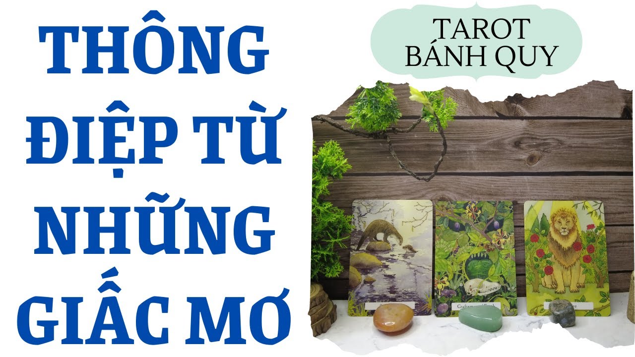Thông điệp từ những giấc mơ {Hiểu về bản thân/vấn đề bên trong} | Chọn 1 tụ bài | Xem Tarot