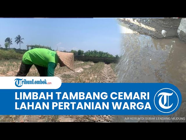 Limbah Tambang Galian C Rusak Ribuan Hektare Lahan Pertanian di Lombok Timur class=