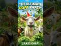 The ultimate goat party 🎉 #goats #shorts #petlover #MM Pet House BKR