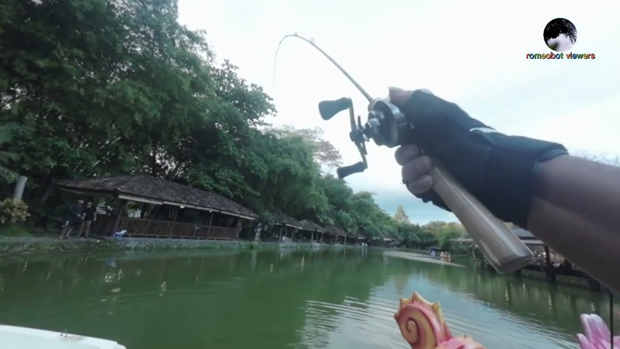 Amiskan Joran Shimano Cardiff NX B54UL