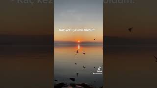 Ebru Yaşar - İğne Iplik