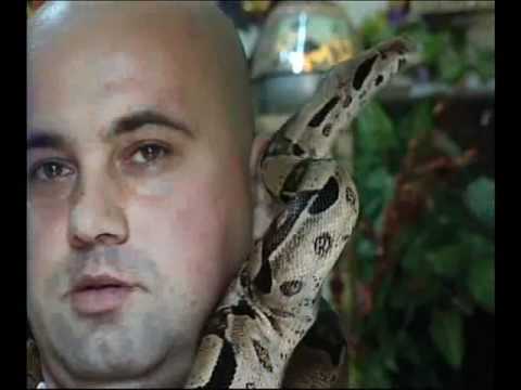        محطة العربية 