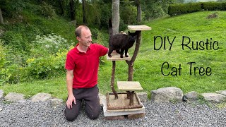 Building a Cat Tree using Branches & Reclaimed wood