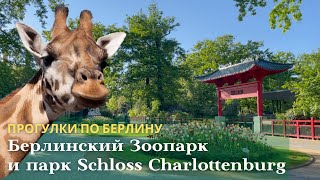 Берлинский Зоопарк | Berlin Zoo / Замки Берлина - Schloss Charlottenburg