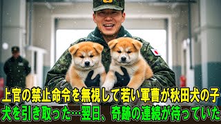 【奇跡の実話】上官の禁止命令にもかかわらず、若い軍曹は2匹の秋田犬の子犬を引き取ることを決意した…翌日、信じられない出来事が次々と起こった！