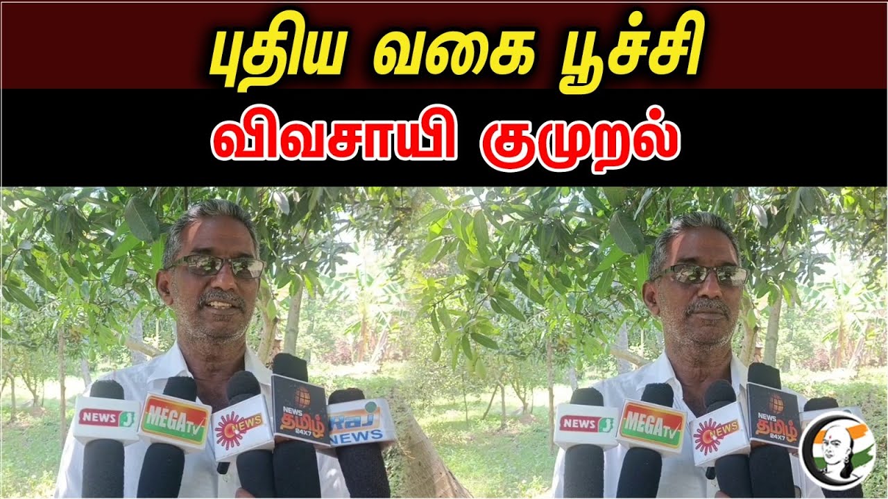 A new type of pest farmer's agony | Periyakulam | Tamilnadu | Farmers | Pest