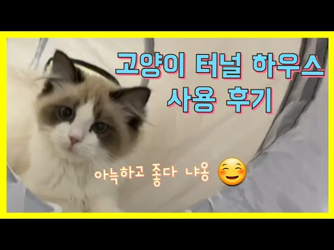 고양이 터널 하우스 구매후기 !!!!