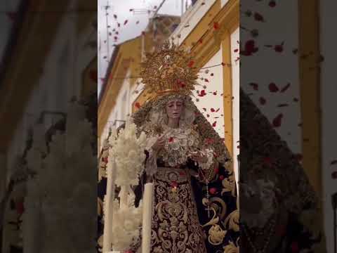 Pontificia, Real, Ilustre y Fervorosa Hermandad Sacramental y Cofradía de Nazarenos de Nuestro Padre Jesús de las Penas, María Santísima de la Estrella, Triunfo del Santo Lignum Crucis, San Francisco de Paula y Santas Justa y Rufina