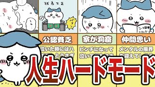 ＜総集編＞貧乏で人生ハードモード？実は猫じゃない？ハチワレ全シーンまとめ【ゆっくり解説】