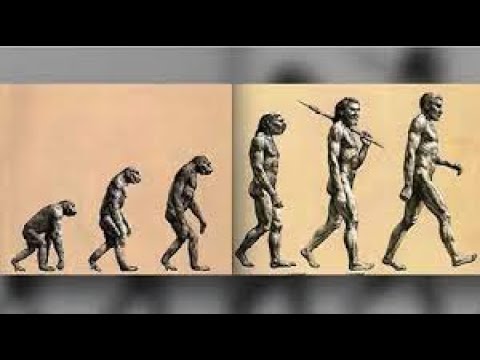 人類進化の歴史【人類誕生~人類滅亡】 - YouTube