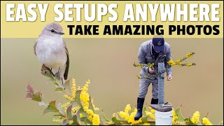 How to Build Setups to Take Fantastic Bird Photos  Step by Step Guide Showing Exactly How I Do It