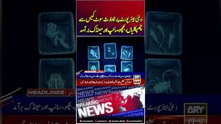Mysterious Suitcase Found at Dubai Airport #dubai #airport #shorts